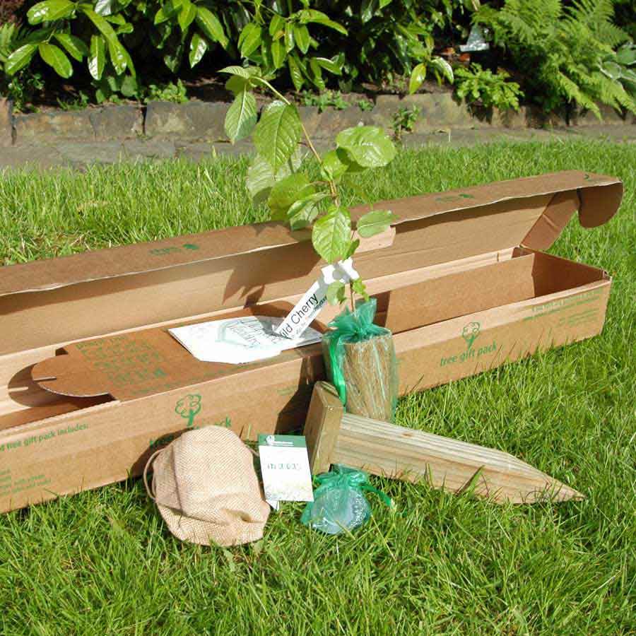 Diamond Wedding Anniversary Tree Gift Pack Plaque - No Engraved Message - Tree Gift Pack - Tree2mydoor