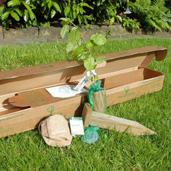 Diamond Wedding Anniversary Tree Gift Pack Plaque - No Engraved Message - Tree Gift Pack - Tree2mydoor