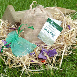 Diamond Wedding Anniversary Tree Gift Pack Plaque - No Engraved Message - Tree Gift Pack - Tree2mydoor