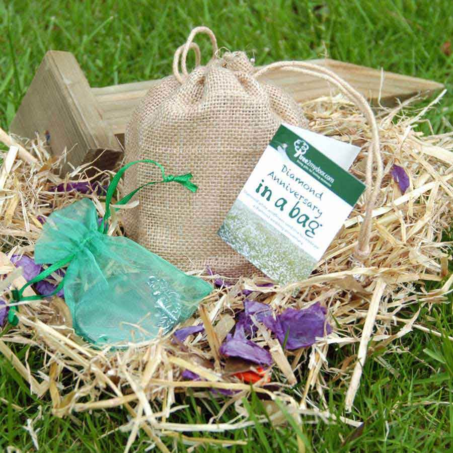 Diamond Anniversary Rose and Plaque Gift Pack Plaque - No Engraving - Rose Gift Pack - Tree2mydoor