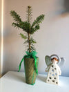 Mini Christmas Tree Gift 