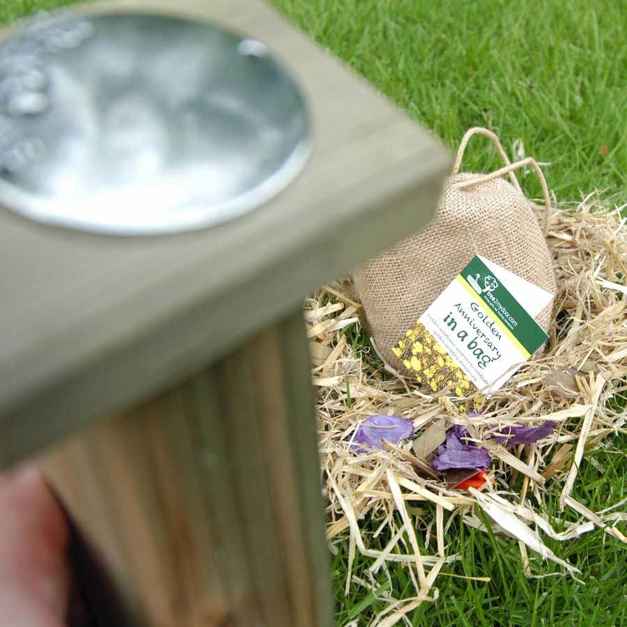 Golden Wedding Anniversary Tree Gift Pack Plaque - No Engraved Message - Tree Gift Pack - Tree2mydoor