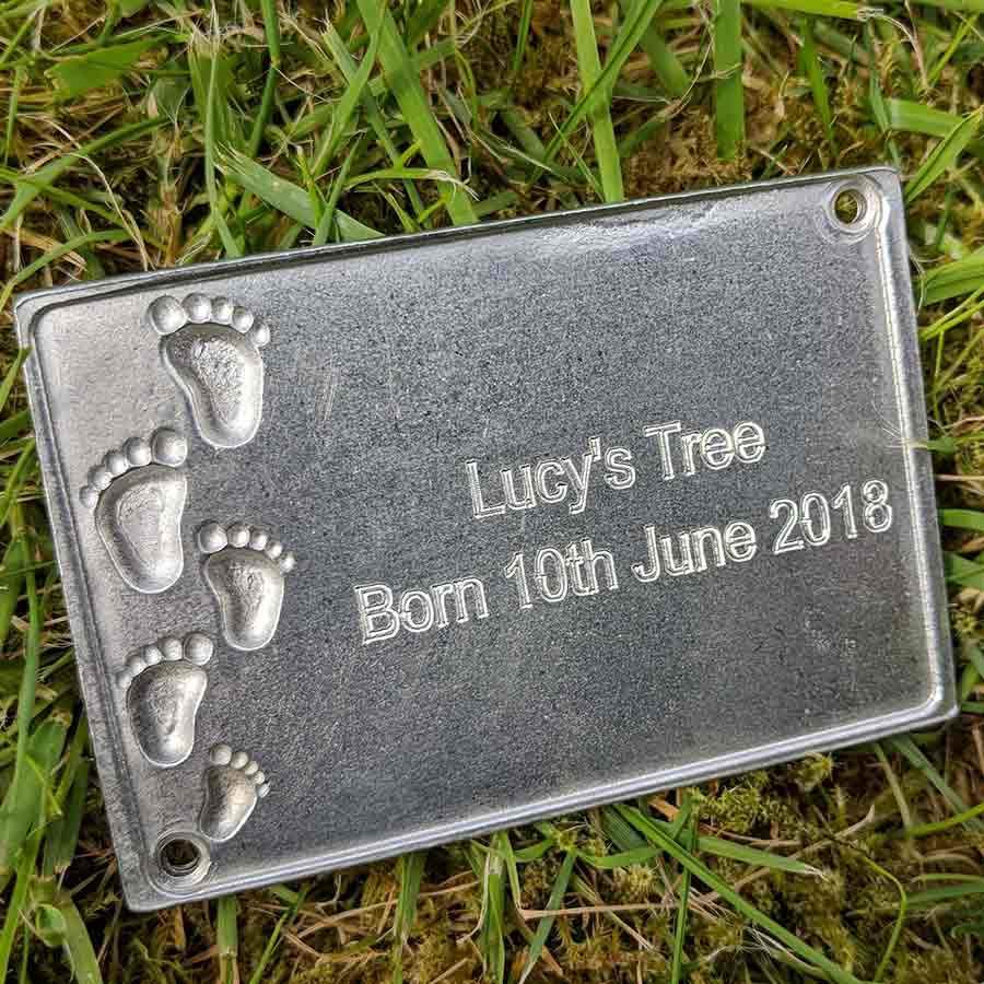 Welcome to the World Tree Gift Pack Tree of Life (Rowan) / Plaque - No Engraved Message - Tree Gift Pack - Tree2mydoor