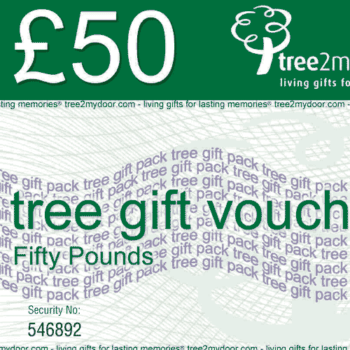 E-Gift Card £50 GBP - Digital Gift - Tree2mydoor