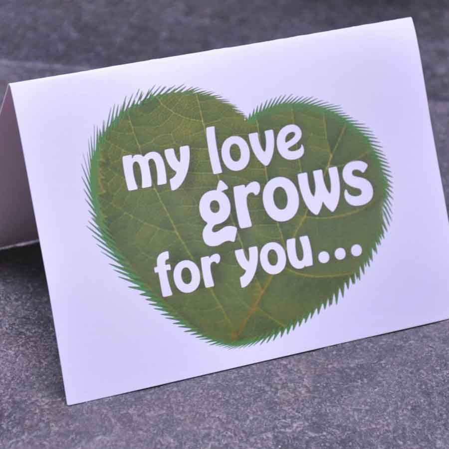Love Greetings Card