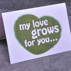 Love Greetings Card - Greeting Card - Tree2mydoor