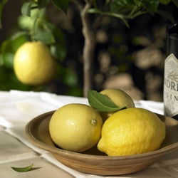 Lemon Tree Gift - Citrus Tree Gift - Tree2mydoor