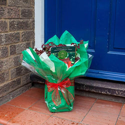 Loving Memories Rose Bush Gift Loving Memories Patio Rose Bush - Rose Bush Gift - Tree2mydoor