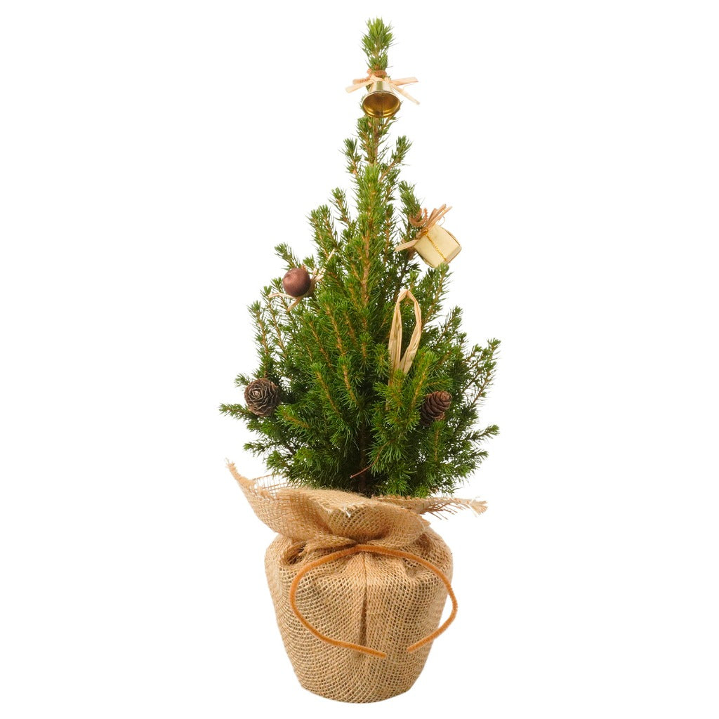 Mini Potted Christmas Tree with decorations