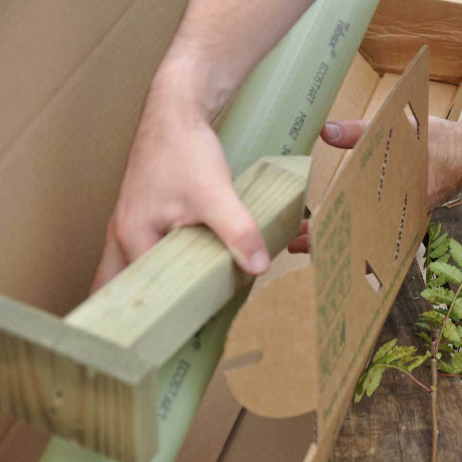 Birthday Tree Gift Pack Beech Tree / Plaque - No Engraved Message - Tree Gift Pack - Tree2mydoor