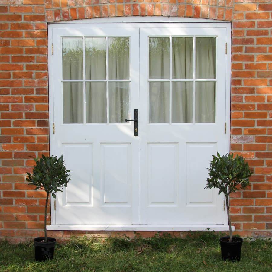 Pair of Bay Tree Gifts Small (2.5L pot, 50cm height) - Bay Tree Gift - Tree2mydoor