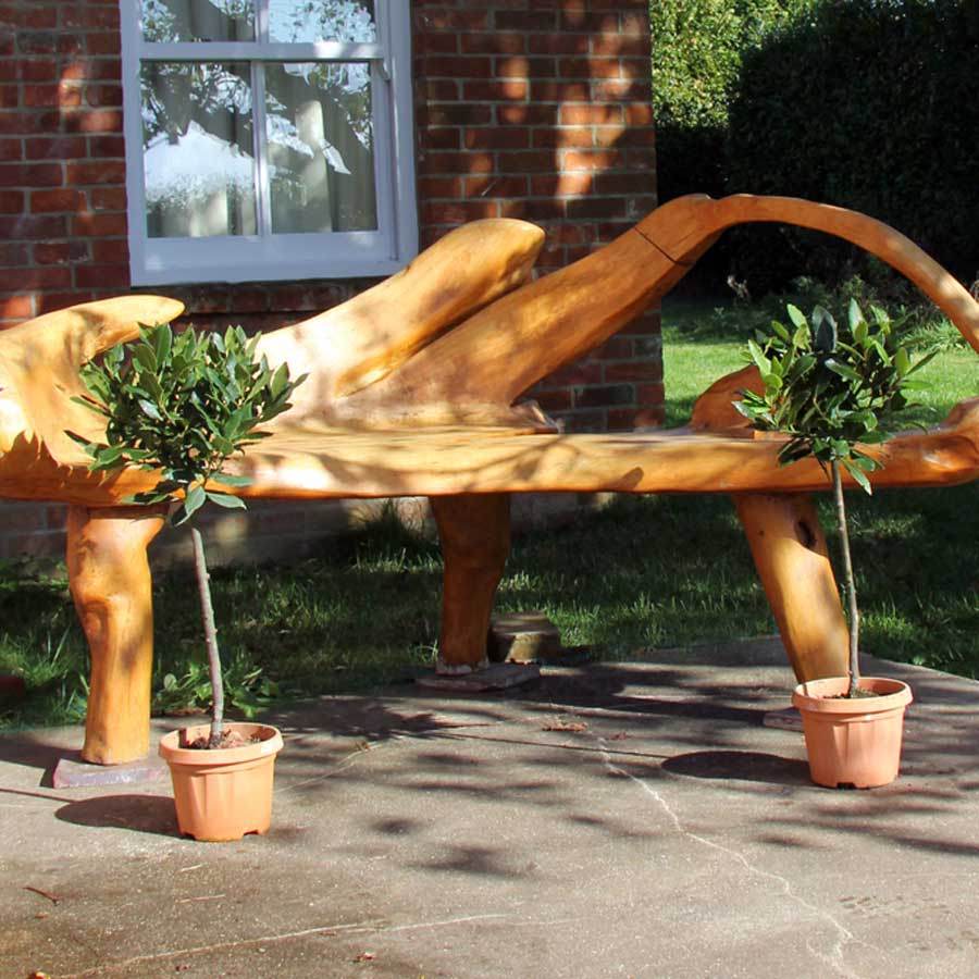 Pair of Bay Tree Gifts Small (2.5L pot, 50cm height) - Bay Tree Gift - Tree2mydoor