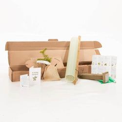 Pet Memorial Tree Gift Pack Silver Birch Tree / Plaque - No Engraved Message - Tree Gift Pack - Tree2mydoor