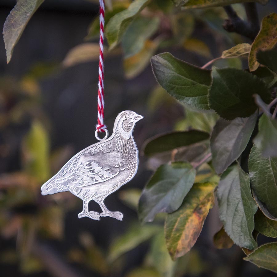 Partridge in a Pear Tree Gift