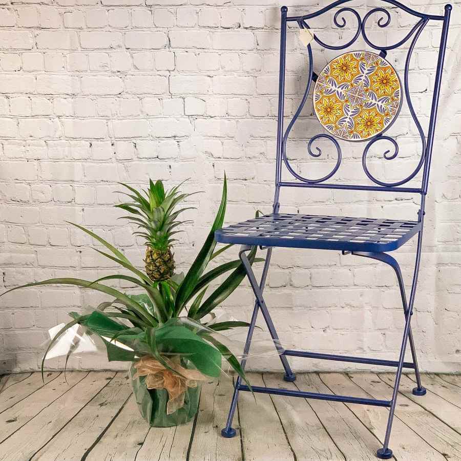 pineapple plant stand Pineapple Plant Gift