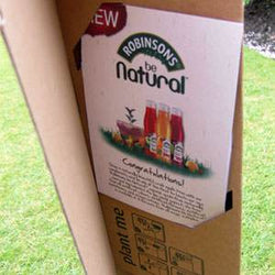 Promo Trees in Triangle Gift Boxes - Tree2mydoor Business - Tree2mydoor