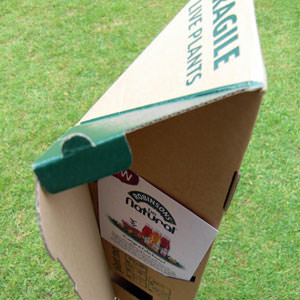 Promotional trees in Triangle gift boxes