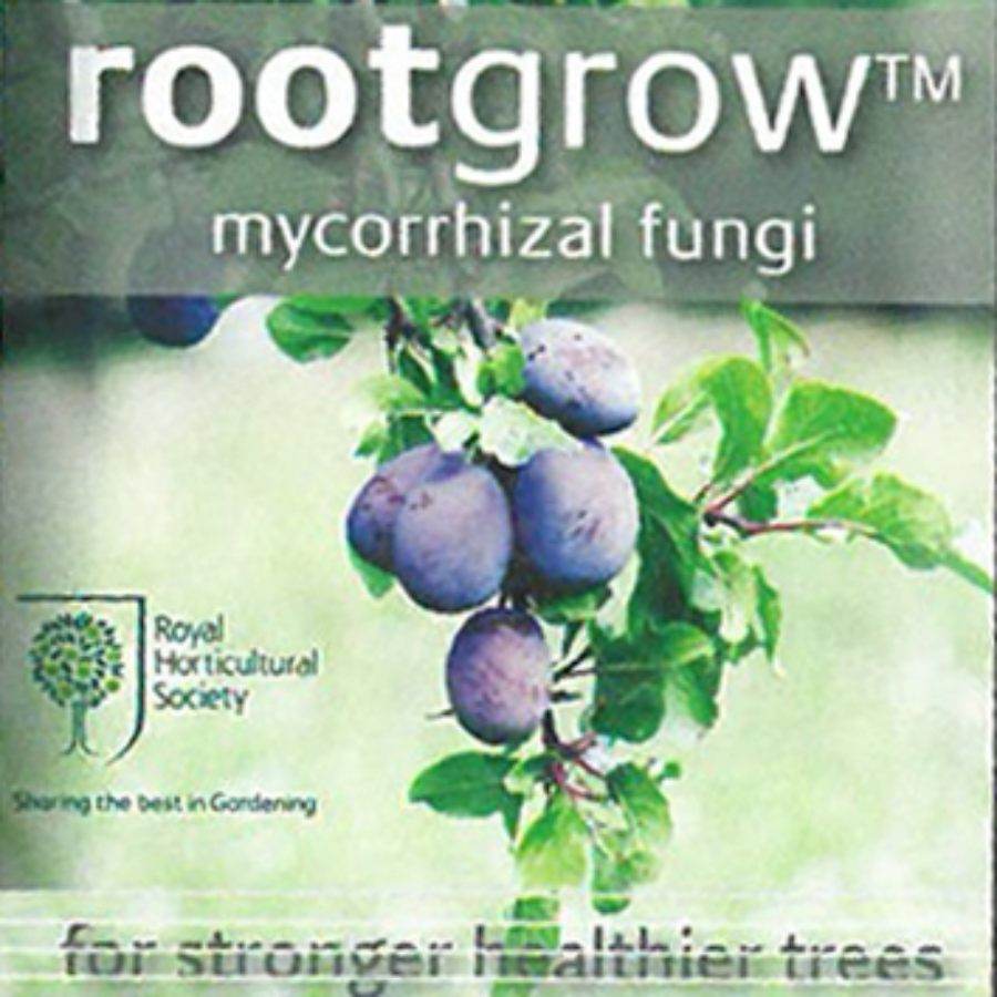 Tree Stake, Tie, Guard and Rootgrow Kit - Accessories - Tree2mydoor