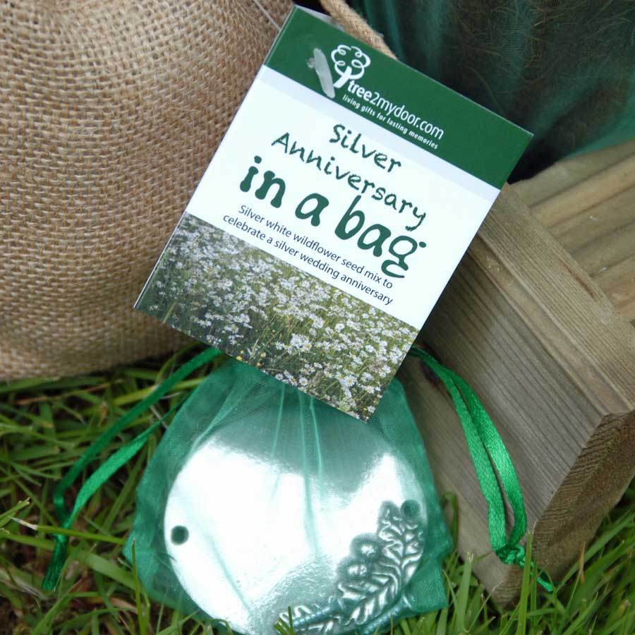 Silver Anniversary Rose and Plaque Gift Pack Plaque - No Engraved Message - Rose Gift Pack - Tree2mydoor