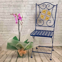 Orchid Plant Gift - Indoor Plant Gift - Tree2mydoor