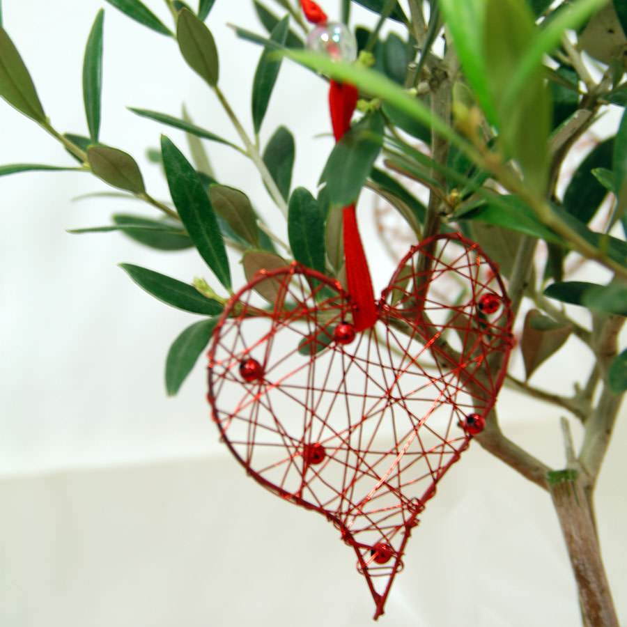 Love Olive Tree Gift - Olive Tree Gift - Tree2mydoor
