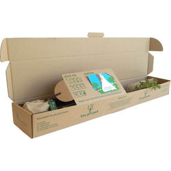 Wedding Tree Gift Pack Tree of Love (Crab Apple) / Plaque - No Engraved Message - Tree Gift Pack - Tree2mydoor