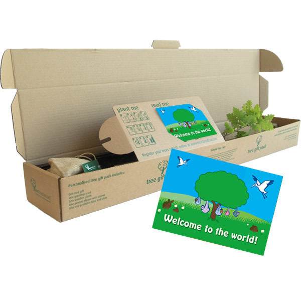 Welcome to the World Tree Gift Pack Tree of Life (Rowan) / Plaque - No Engraved Message - Tree Gift Pack - Tree2mydoor