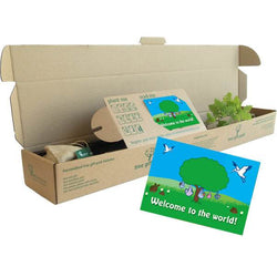 Welcome to the World Tree Gift Pack Tree of Life (Rowan) / Plaque - No Engraved Message - Tree Gift Pack - Tree2mydoor