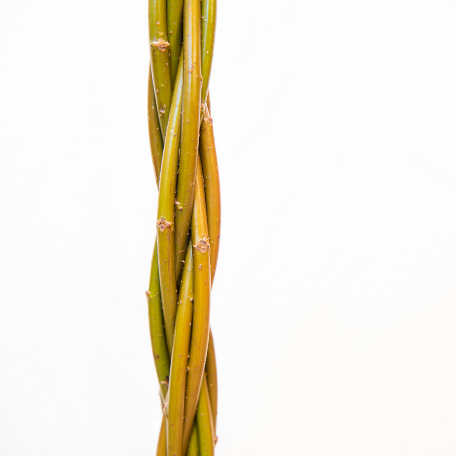 Willow Wand Stem